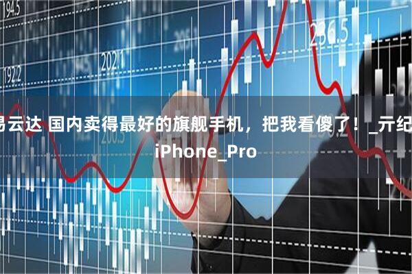 易云达 国内卖得最好的旗舰手机，把我看傻了！_亓纪_iPhone_Pro